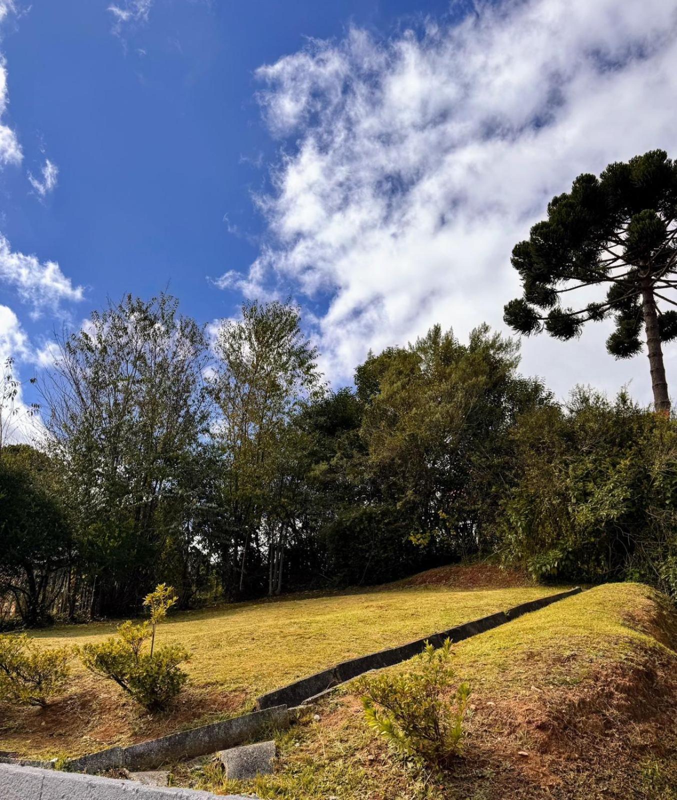 Araucaria Casa de hóspedes Campos do Jordão